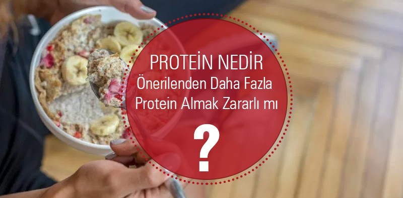 protein nedir